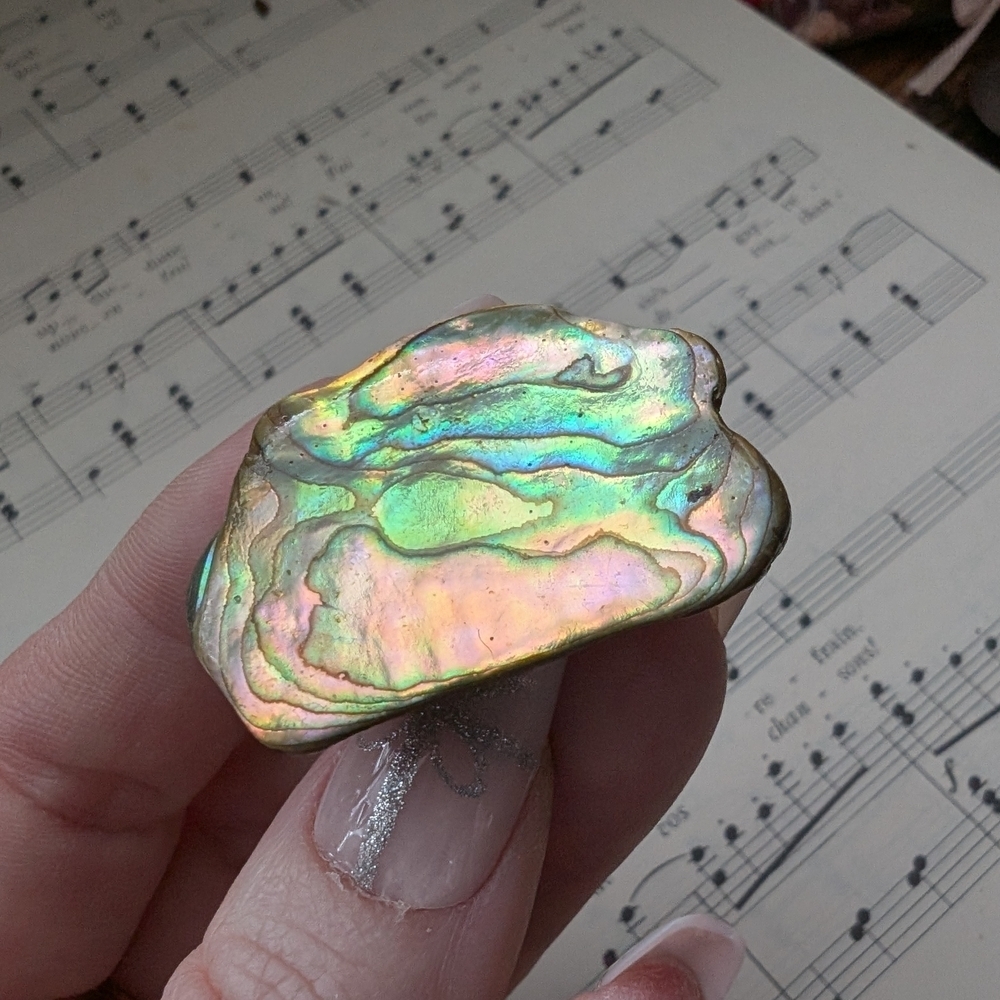 Iridescent Abalone Shell Brooch - Picture 2 of 11